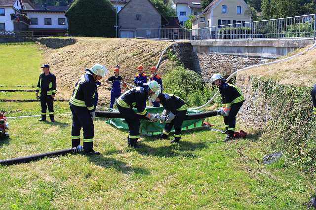 20100627-110906-Canon EOS 500D.jpg